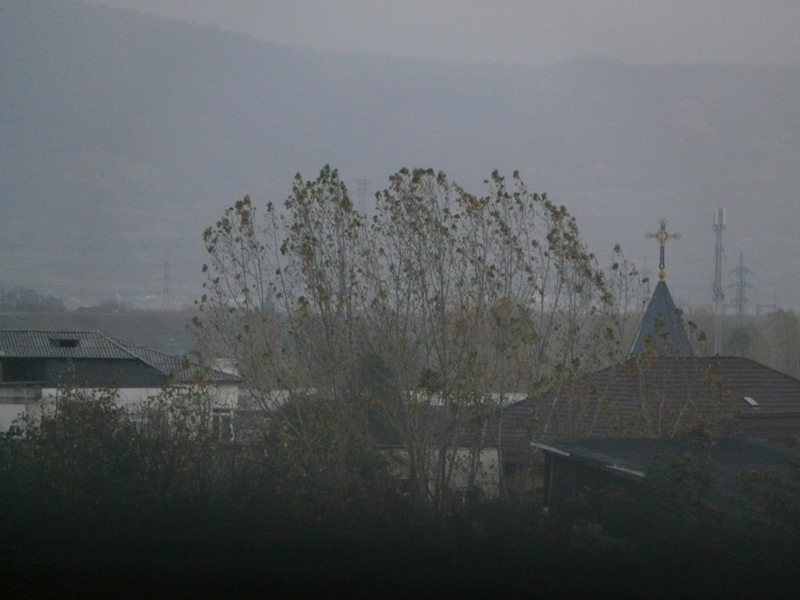 1163 :: Windy autumn morning on Siret Valley